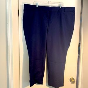 🚨FLASH Sale🚨Navy LOFT dress riviera pant